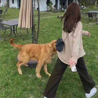 现代风月宝鉴